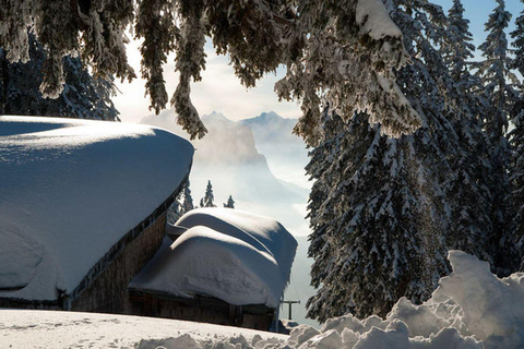 Avalanche training with snowshoe hike in Berchtesgaden LVS training with snowshoe hike in Berchtesgaden