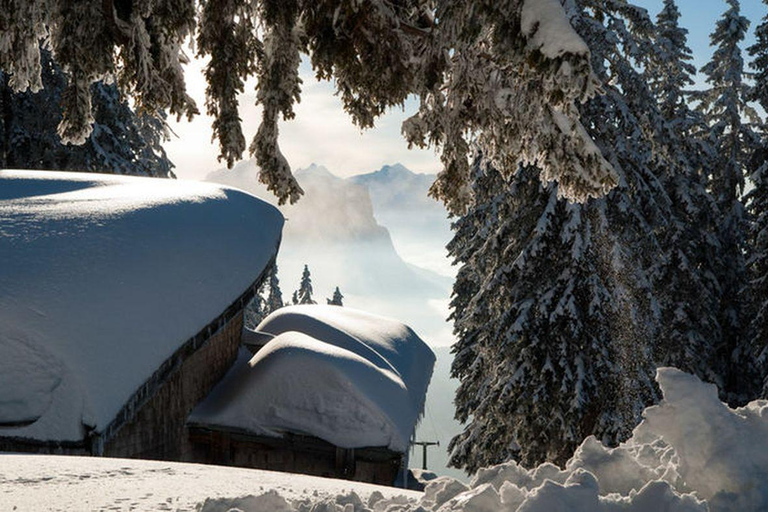 Avalanche training with snowshoe hike in Berchtesgaden LVS training with snowshoe hike in Berchtesgaden