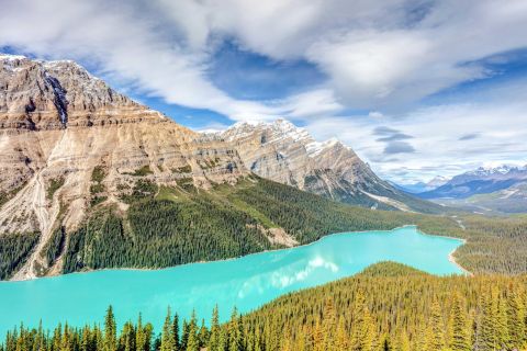 Montagne Rocciose Canadesi: tour dei Parchi di 7 giorni