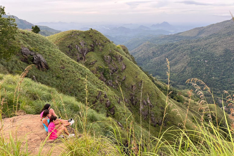 Explorez Ella : randonnée sur les rochers, boucle, cascades, neuf arches et vue sur le trainDécouvrez Ella : randonnée dans les rochers, boucle, chutes d&#039;eau, neuf arches et vue