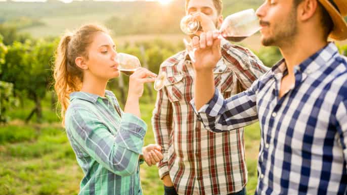 adelaide barossa valley hahndorf tour with winery lunch