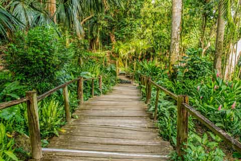 Viti Levu: Mud Pool, Temple, and Sleeping Giant Garden