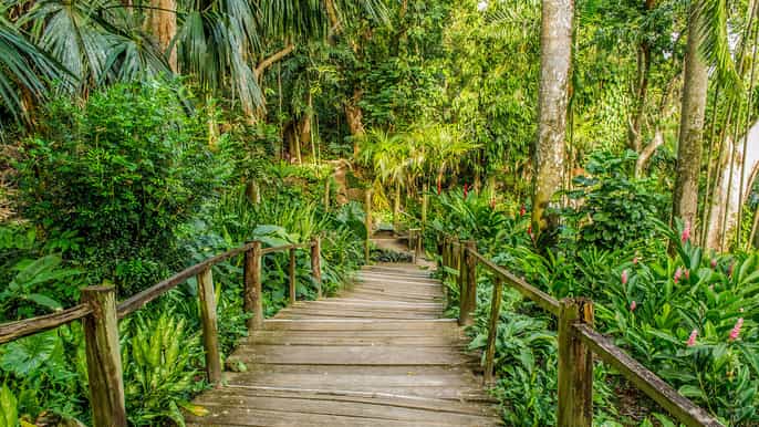 viti levu mud pool temple and sleeping giant garden