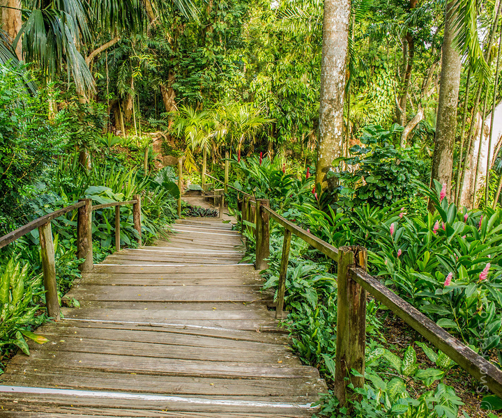 Viti Levu: Mud Pool, Temple, and Sleeping Giant Garden