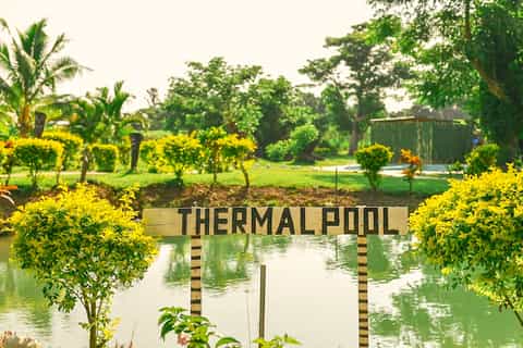 Viti Levu: Mud Pool, Temple, and Sleeping Giant Garden