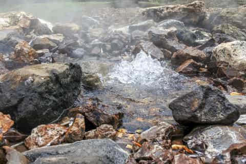 Viti Levu: Mud Pool, Temple, and Sleeping Giant Garden