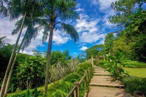 Garden of the Sleeping Giant, Nadi - Book Tickets & Tours | GetYourGui