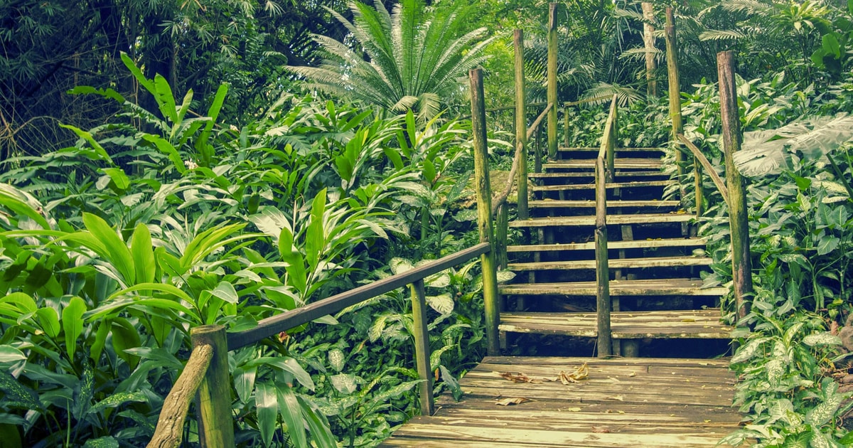 Nadi Garden Village Hot Spring & Temple Highlights Tour GetYourGuide
