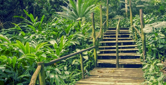Nadi: Garden Village Hot Spring & Temple Highlights Tour