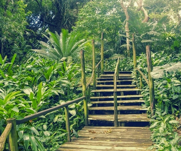 Nadi: Garden Village Hot Spring & Temple Highlights Tour