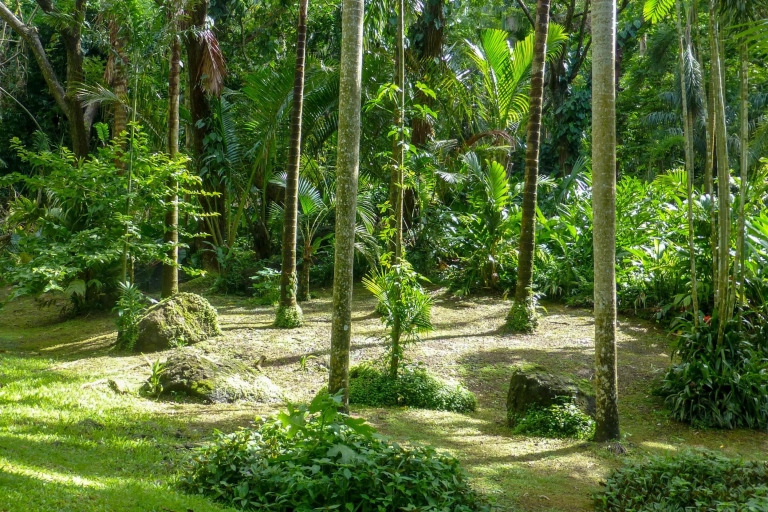 Viti Levu: modderpoel, tempel en slapende gigantische tuin