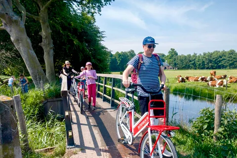 Passeio de bicicleta pelos pontos altos de Haarlem