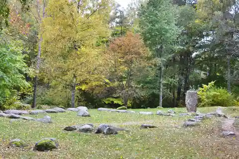 Tour de medio día sobre la Historia de los Vikingos desde Estocolmo