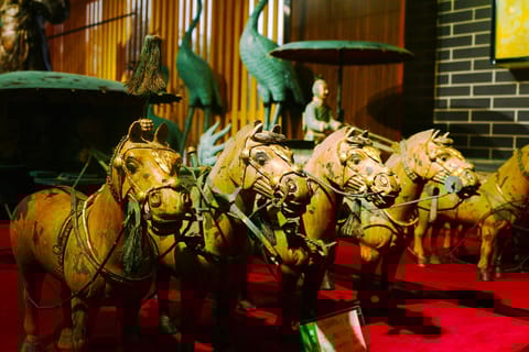 Xi'an Terracotta Warriors Banpo Museum Option Private Tour