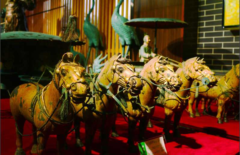 Xi'an Terracotta Warriors Banpo Museum Option Private Tour