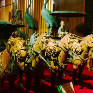 Xi'an: Terracotta Warriors and Banpo Museum Coach Tour