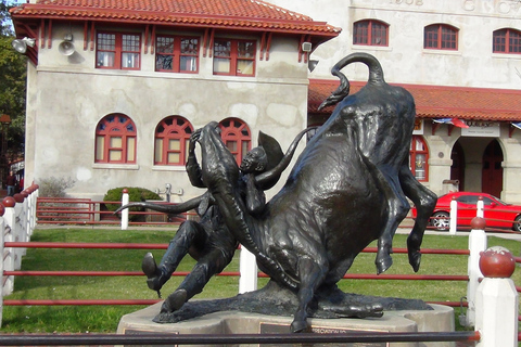 From Dallas: Fort Worth Guided Day Tour