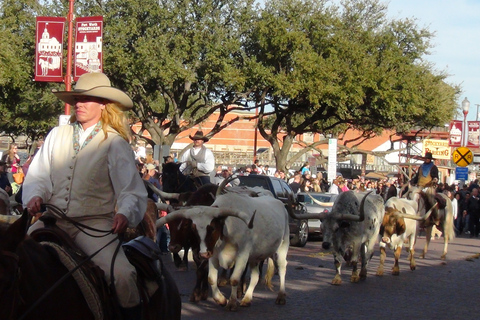 Bienvenido a Fort Worth 4-Hours Small-Group