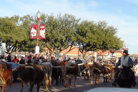 De Dallas: excursão guiada de um dia a Fort Worth