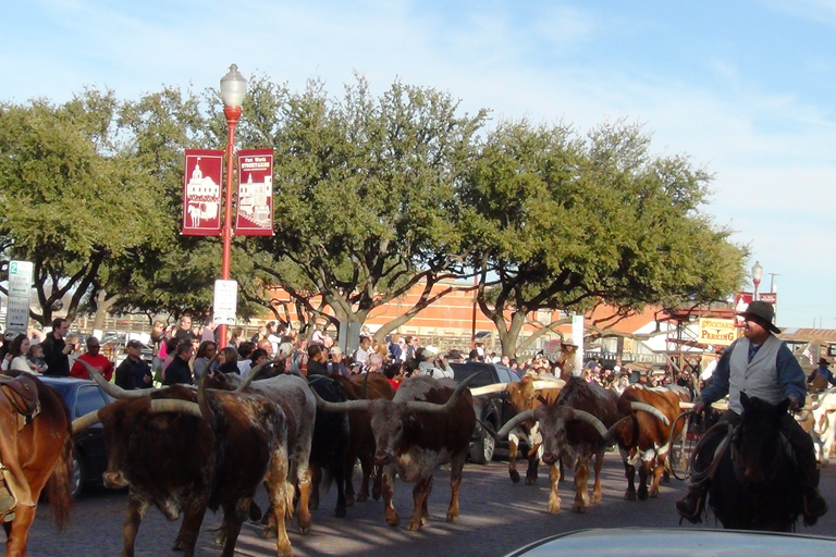 De Dallas: excursão guiada de um dia a Fort Worth