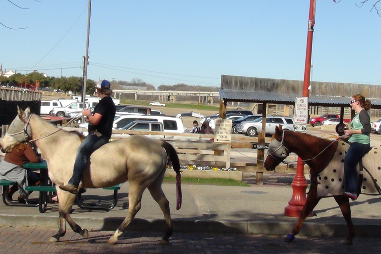 Da Dallas: tour guidato di un giorno a Fort Worth