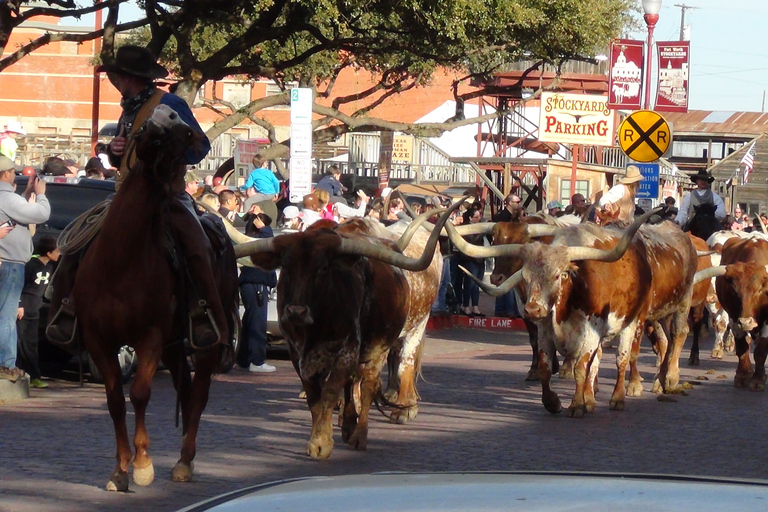 Bienvenue à Fort Worth 4 heures en petit groupe