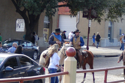 From Dallas: Fort Worth Guided Day Tour