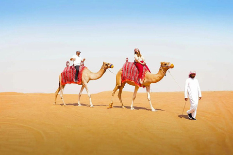 Qatar: Full-Day City & Desert Safari with Inland Sea Tour Qatar: Group Full-Day City & Desert Safari Tour