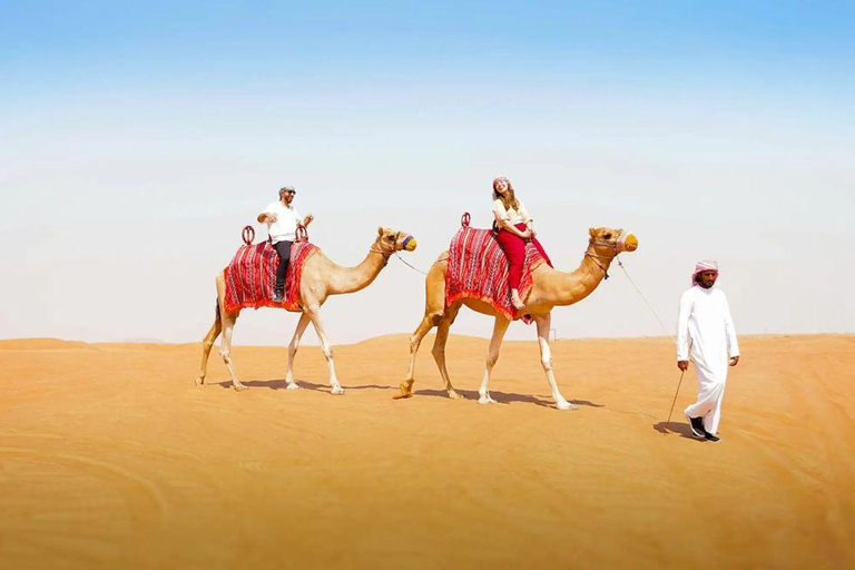 Qatar: Full-Day City & Desert Safari with Inland Sea Tour Qatar: Group Full-Day City & Desert Safari Tour