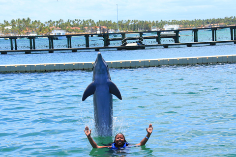 Avventura di nuoto con i delfini a Punta Cana: Esperienza con i delfini di 40 minuti