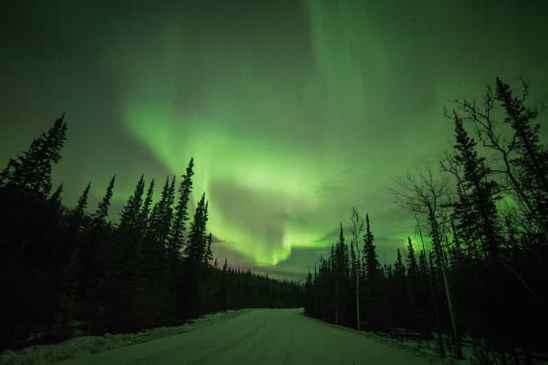 Healy Denali Aurora Quest GetYourGuide