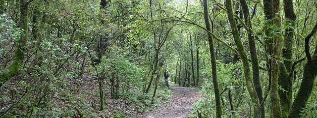 Kathmandu Valley 3-Day Trek: Chisapani to Nagarkot