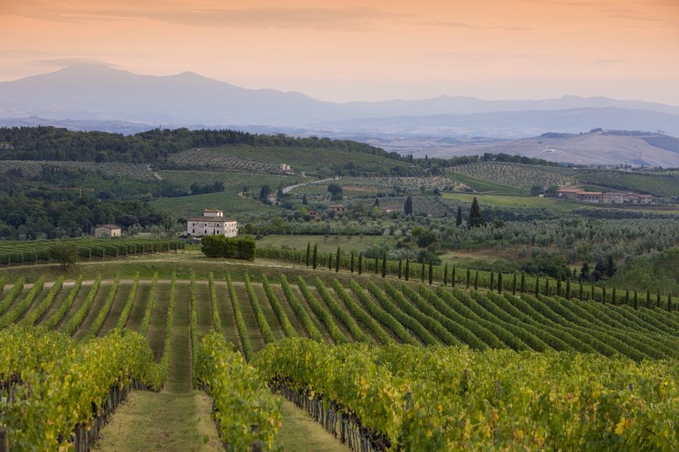 Tuscany Wine & Food Tour with Guide From Florence
