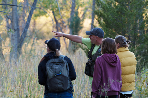 Denver: Birding Basics and Beyond