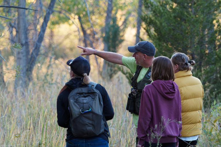 Denver: Birding Basics and Beyond