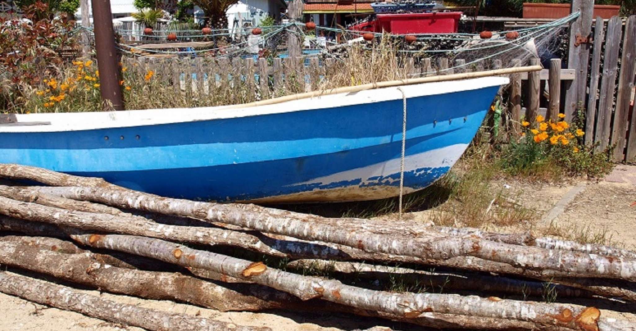 Bay of Arcachon, Guided Food Tour - Housity