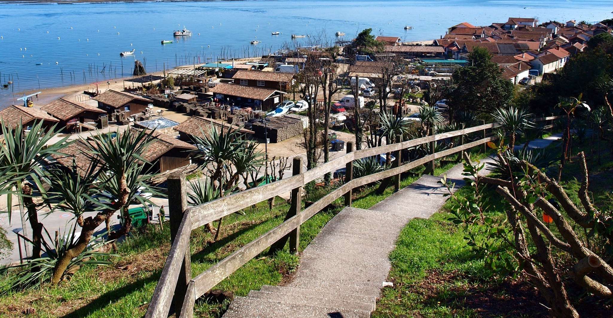 Bay of Arcachon, Guided Food Tour - Housity