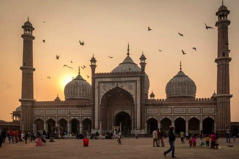 Vieux Delhi: visite de 3 heures en tuk-tuk / pousse-pousse