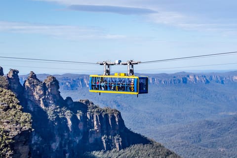 Private Blue Mountains, Scenic World & Wentworth Falls Tour - Image 2