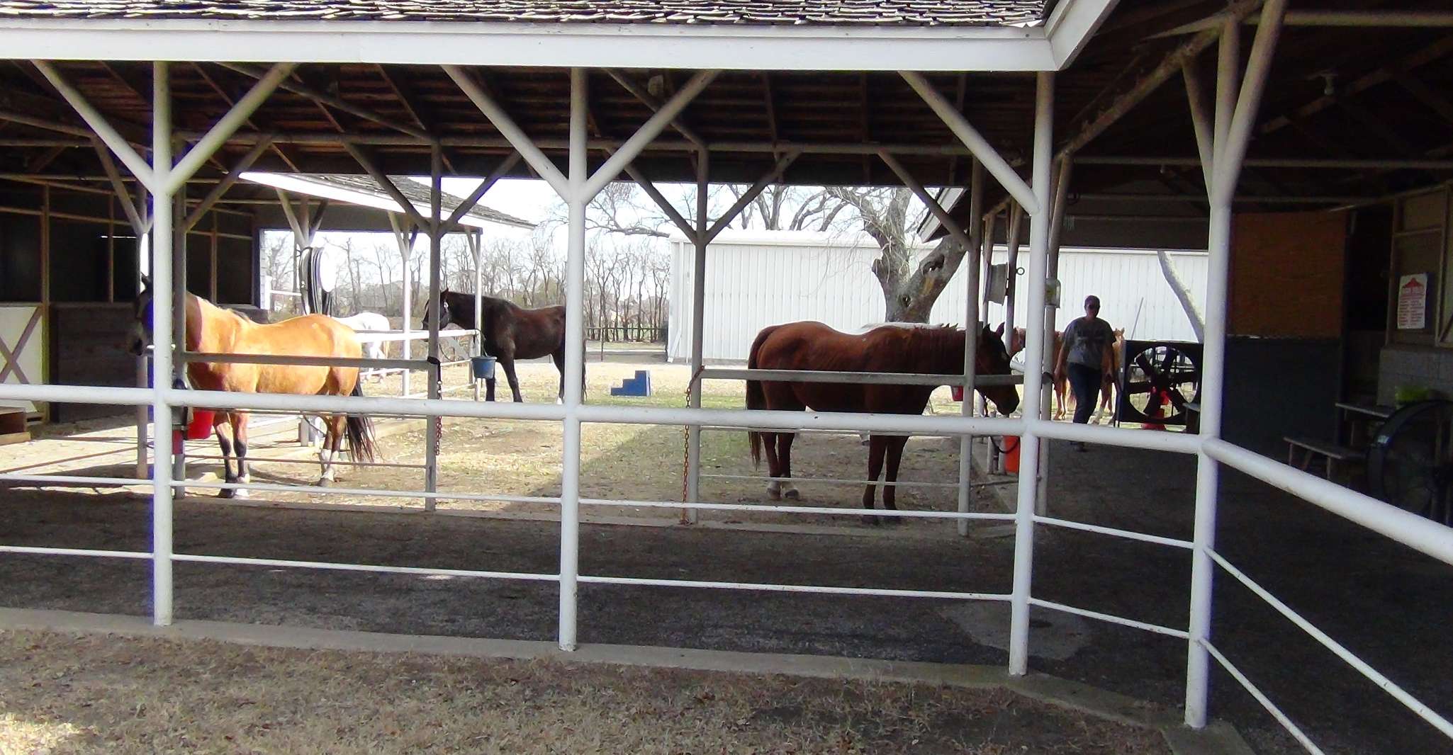 Dallas: Southfork Ranch, Dallas Highlights, and JFK Tour photo 14