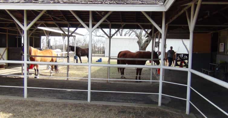 Dallas: Southfork Ranch, Dallas Highlights, and JFK Tour photo 14
