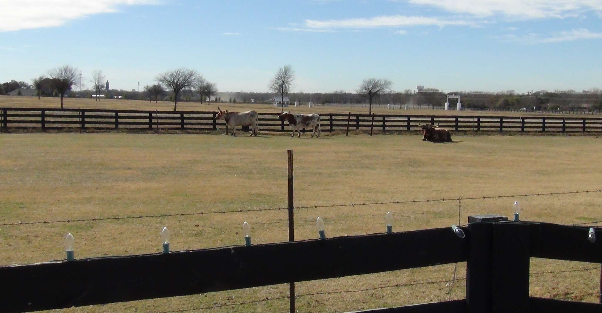 Dallas: Southfork Ranch, Dallas Highlights, and JFK Tour photo 18