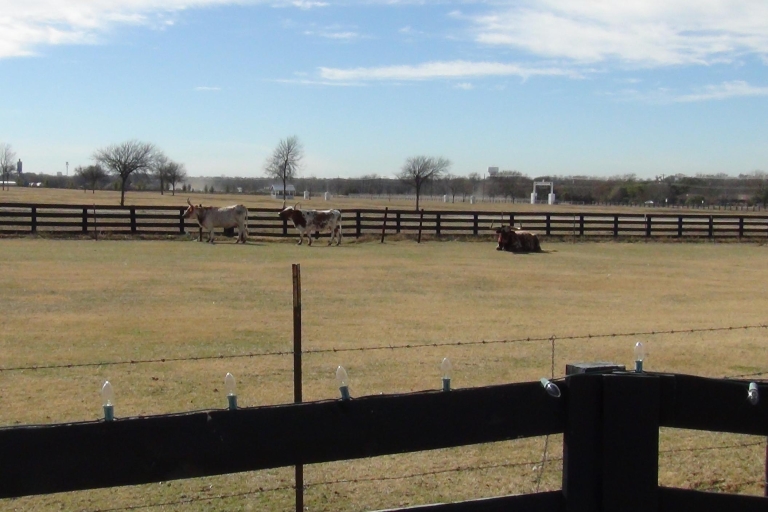 Southfork Ranch i seria Dallas