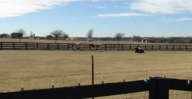 Dallas: Southfork Ranch, Dallas Highlights, and JFK Tour photo 18
