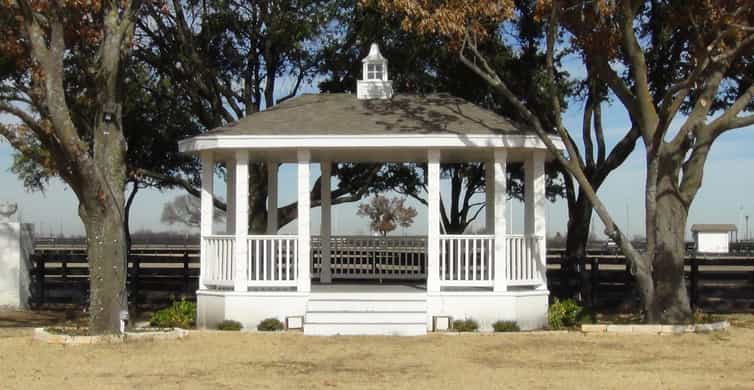 Dallas: Southfork Ranch, Dallas Highlights, and JFK Tour photo 19