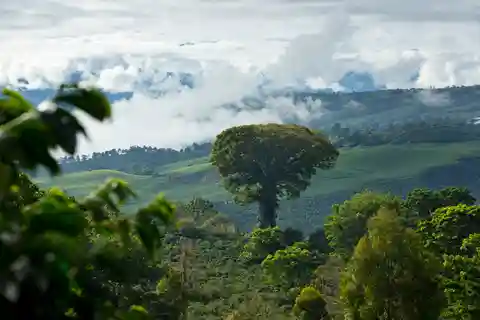 Casa Hacienda La Esperanza heldags kaffeupplevelse