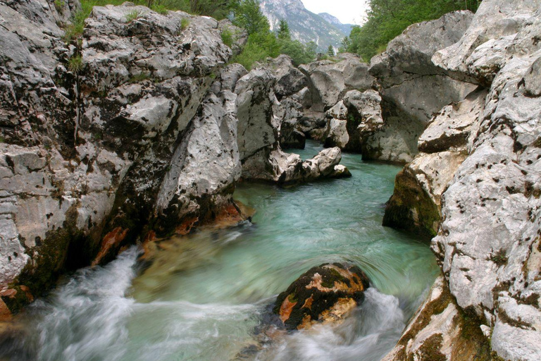 From Bled: Triglav National Park & Soča Small-Group Day Trip