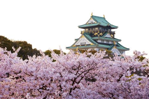 Osaka: kersenbloesem- en eettour overdag