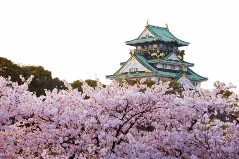 Osaka: excursão diurna em flor de cerejeira e comida - Osaka, Japão |  GetYourGuide