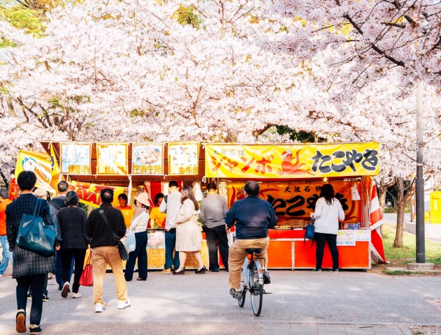 Visit Osaka Daytime Hanami (Cherry Blossom) and Food Tour in Kyoto